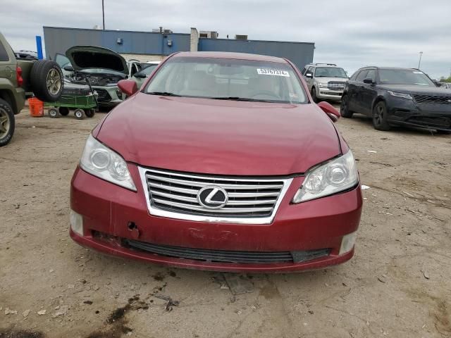 2010 Lexus ES 350