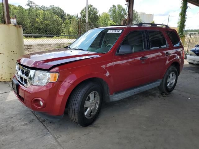 2011 Ford Escape XLT