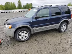 Salvage cars for sale from Copart Arlington, WA: 2002 Ford Escape XLT