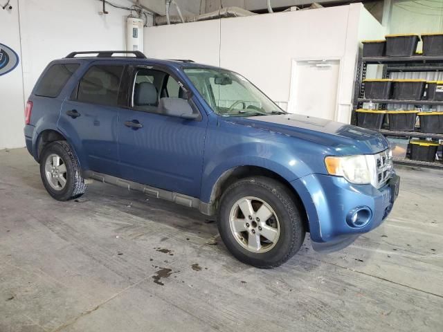 2009 Ford Escape XLT