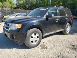 Salvage cars for sale at Waldorf, MD auction: 2012 Ford Escape XLT
