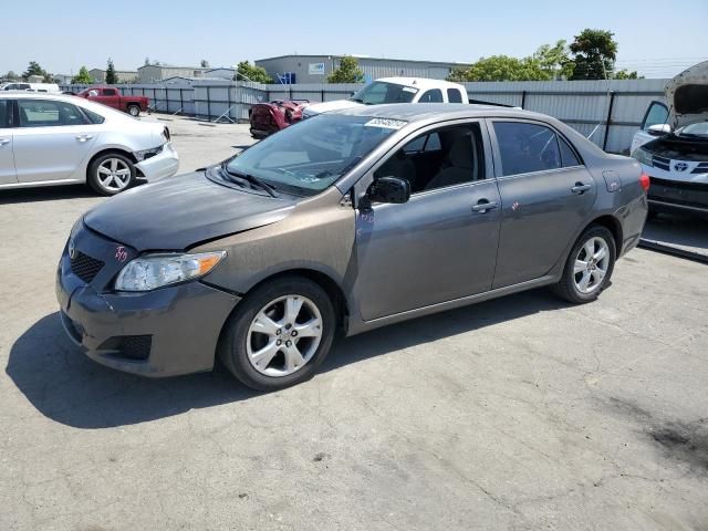 2009 Toyota Corolla Base