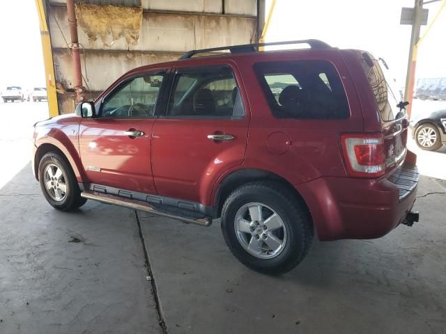 2008 Ford Escape XLT