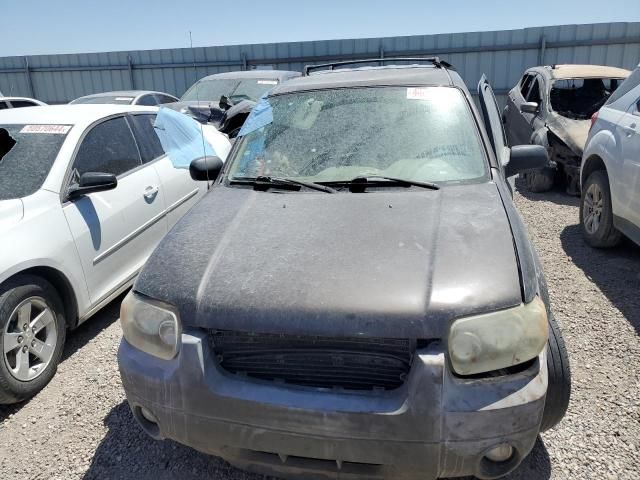 2007 Ford Escape XLT