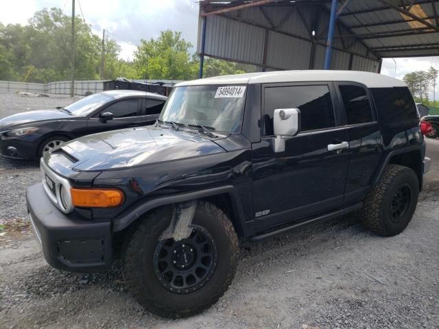 2007 Toyota FJ Cruiser