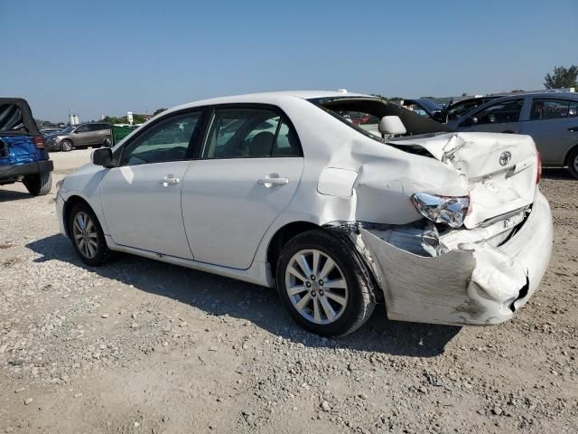 2009 Toyota Corolla Base