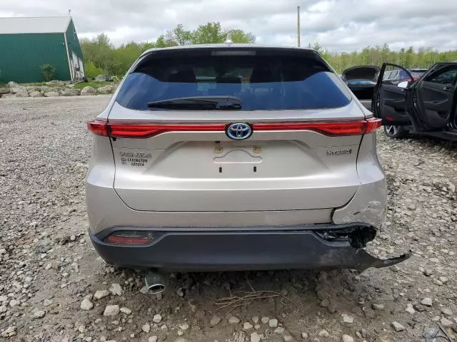 2021 Toyota Venza LE