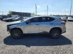 2023 Lexus NX 350