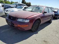 Salvage cars for sale from Copart Martinez, CA: 1996 Nissan Maxima GLE