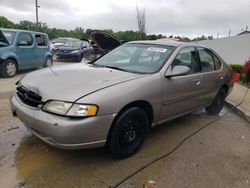 Salvage cars for sale at Louisville, KY auction: 1999 Nissan Altima XE