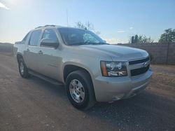 Salvage cars for sale from Copart Phoenix, AZ: 2007 Chevrolet Avalanche K1500