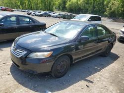 Salvage cars for sale at Marlboro, NY auction: 2009 Toyota Camry Hybrid