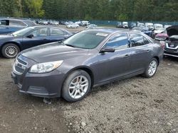 Salvage cars for sale from Copart Graham, WA: 2013 Chevrolet Malibu 1LT