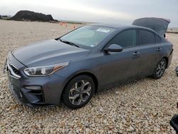 Salvage cars for sale from Copart Temple, TX: 2019 KIA Forte FE