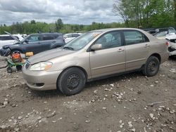 Toyota Corolla CE salvage cars for sale: 2005 Toyota Corolla CE