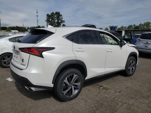 2019 Lexus NX 300 Base