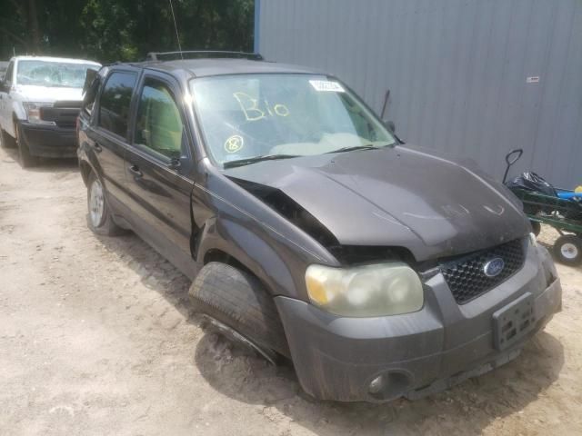 2006 Ford Escape XLT