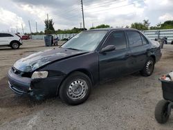 Salvage cars for sale from Copart Miami, FL: 1999 Toyota Corolla VE