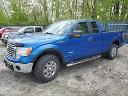 Salvage cars for sale from Copart Candia, NH: 2011 Ford F150 Super Cab