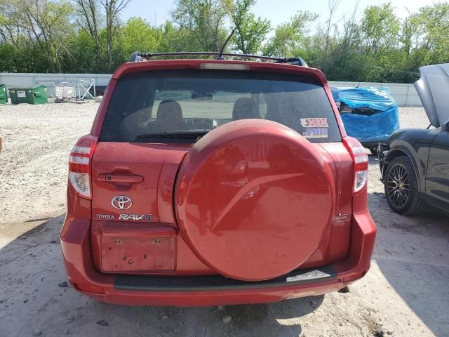 2010 Toyota Rav4 Limited