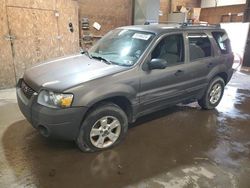 Salvage cars for sale at Ebensburg, PA auction: 2006 Ford Escape XLT