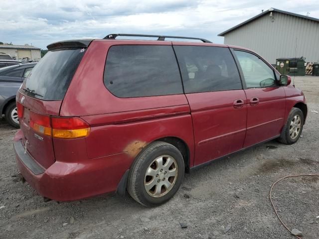 2002 Honda Odyssey EXL