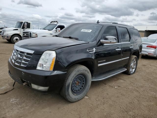 2012 Cadillac Escalade Luxury