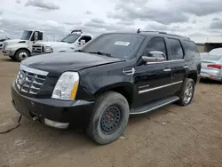 Salvage cars for sale at Brighton, CO auction: 2012 Cadillac Escalade Luxury