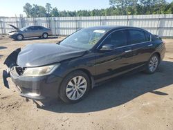 Salvage cars for sale at Harleyville, SC auction: 2014 Honda Accord EXL