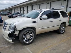 Salvage cars for sale from Copart Louisville, KY: 2013 Cadillac Escalade Platinum