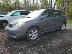Salvage cars for sale from Copart Bowmanville, ON: 2008 Toyota Corolla Matrix XR