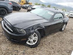 Salvage cars for sale at Magna, UT auction: 2013 Ford Mustang