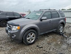 Salvage cars for sale at Columbus, OH auction: 2012 Ford Escape Limited