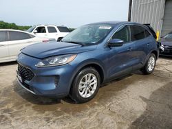 Salvage cars for sale at Memphis, TN auction: 2020 Ford Escape SE