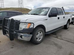 Salvage cars for sale from Copart Littleton, CO: 2014 Ford F150 Supercrew