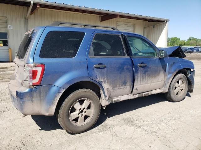 2010 Ford Escape XLT