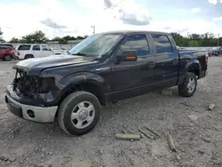 Salvage trucks for sale at Louisville, KY auction: 2013 Ford F150 Supercrew