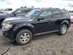 Salvage cars for sale from Copart Portland, MI: 2012 Ford Escape Limited