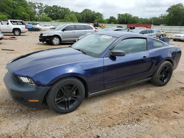 2010 Ford Mustang