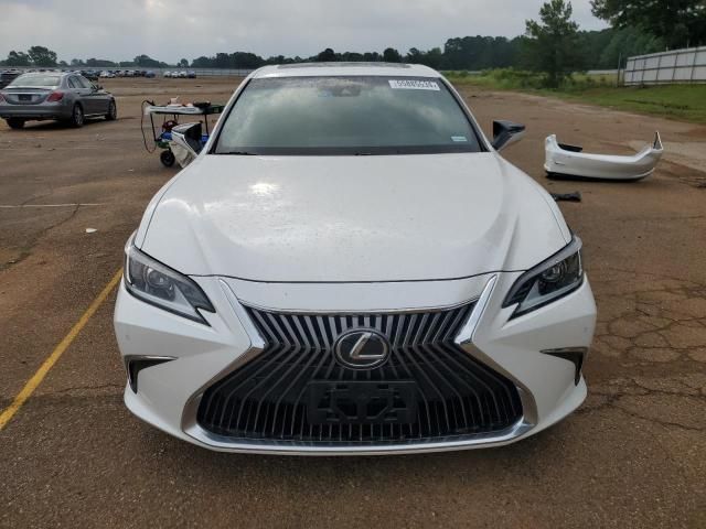 2020 Lexus ES 350