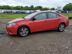 Salvage cars for sale at Hillsborough, NJ auction: 2014 Toyota Corolla L