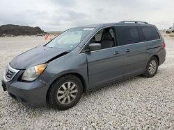 Salvage cars for sale at Temple, TX auction: 2010 Honda Odyssey EX