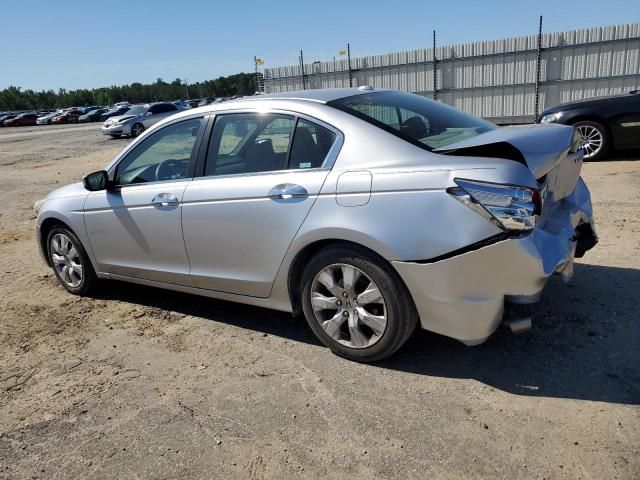 2008 Honda Accord EXL