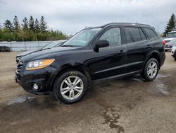 Salvage cars for sale from Copart Ontario Auction, ON: 2010 Hyundai Santa FE GLS