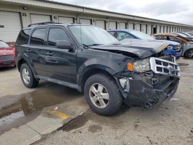 2011 Ford Escape XLT