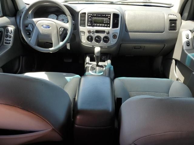 2007 Ford Escape XLT