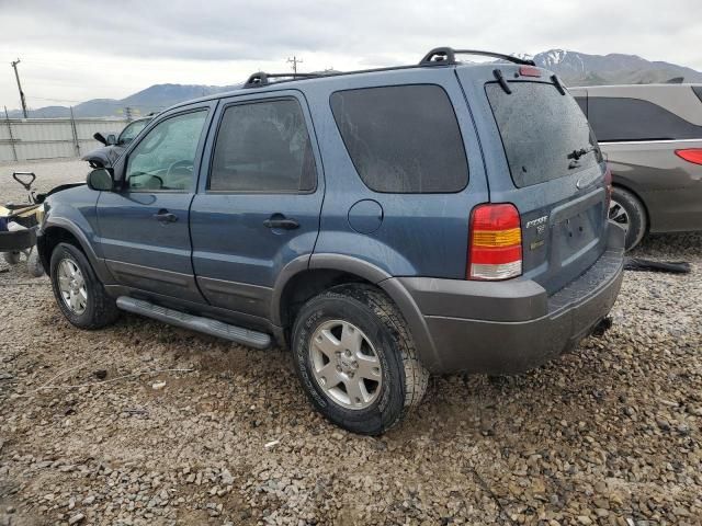 2006 Ford Escape XLT