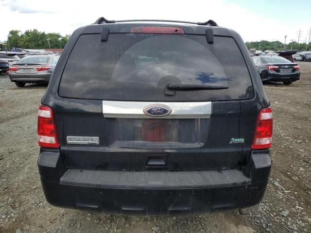 2010 Ford Escape Limited