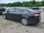 2013 Ford Fusion Titanium Phev