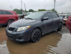 Salvage cars for sale at Columbus, OH auction: 2009 Toyota Corolla Base